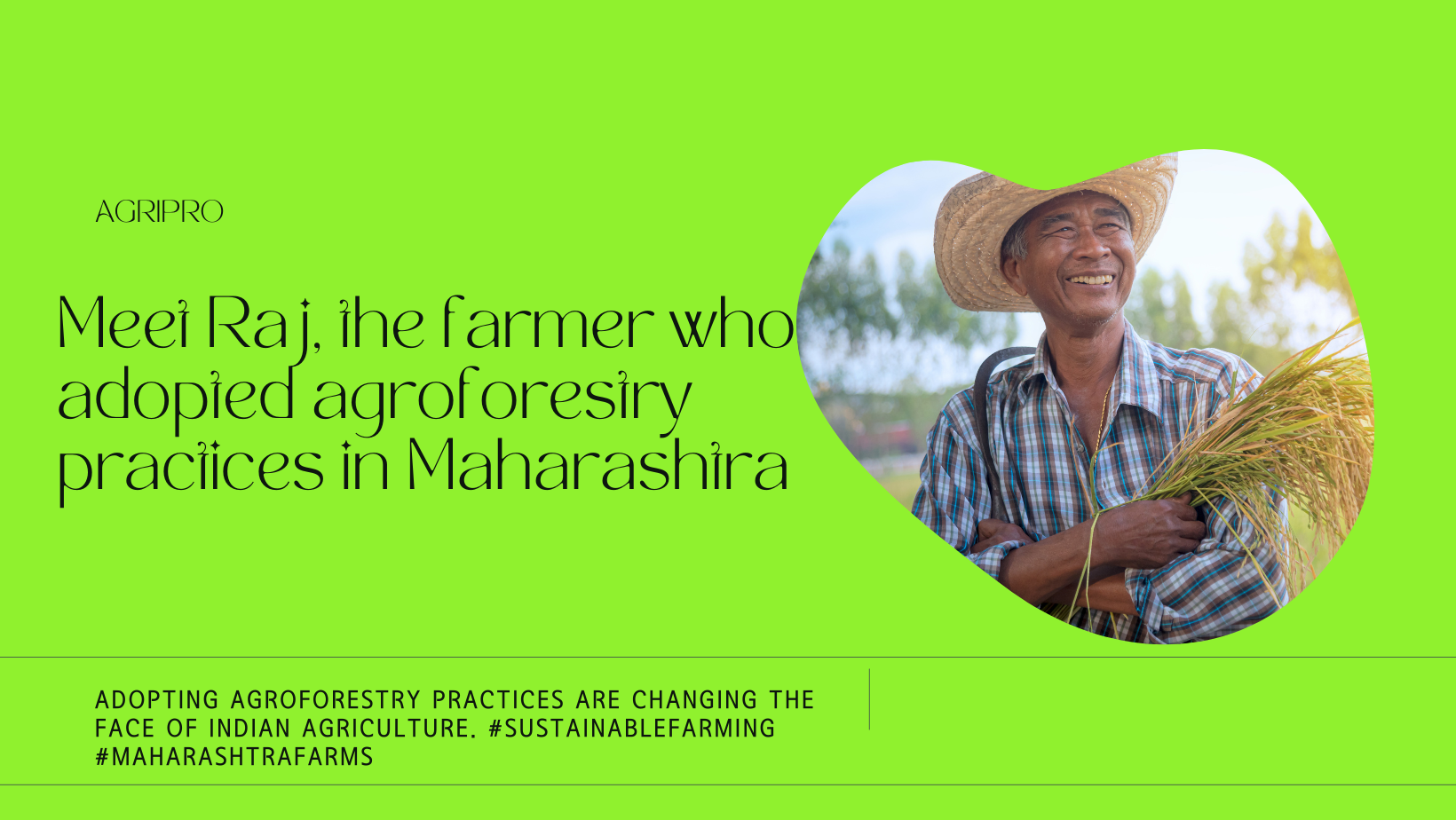 LADOPTINGAgroforestry practices are changing the face of Indian agriculture. #sustainablefarming #MaharashtraFarms (1) - CREATORS CATALYST-SUSTAINABILITY INNOVATORS